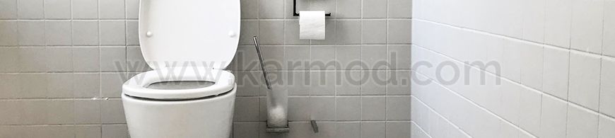 Mobile Toiets