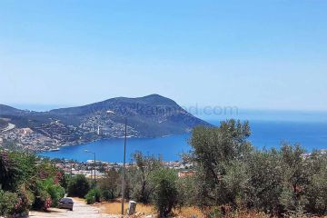 tourism-holiday-homes-38147_2.jpg