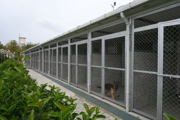 k9-dog-search-and-rescue-center-32074_5.jpg
