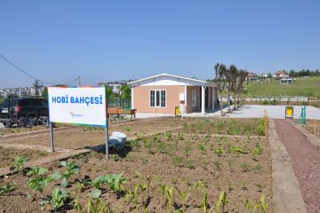 hobby-garden-in-dereagzi-81760_4.jpg
